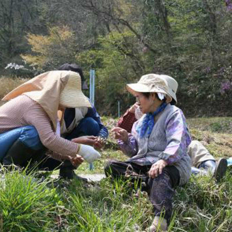 地元のお年寄りに学ぶ