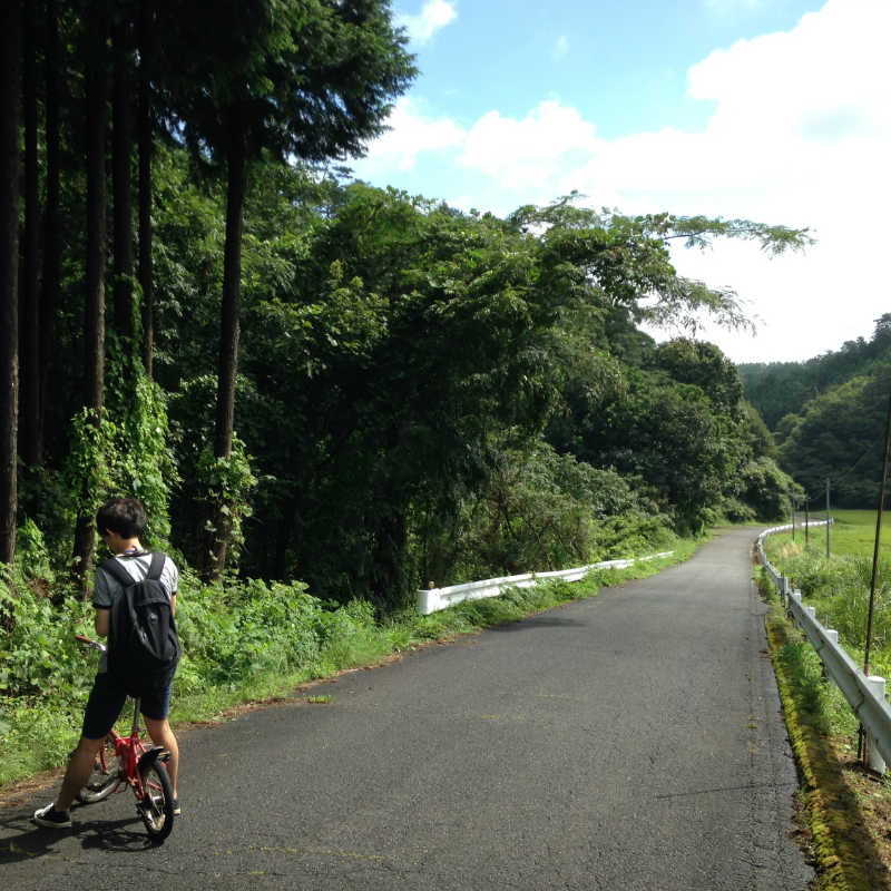 里山をめぐる