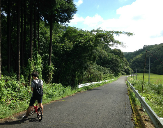 有木の旅
